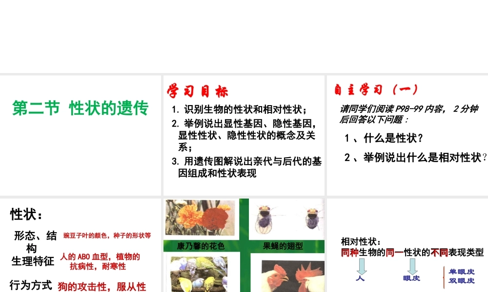 八年级生物上册 4.4.2《性状的遗传》课件1 （新版）济南版-（新版）济南版初中八年级上册生物课件