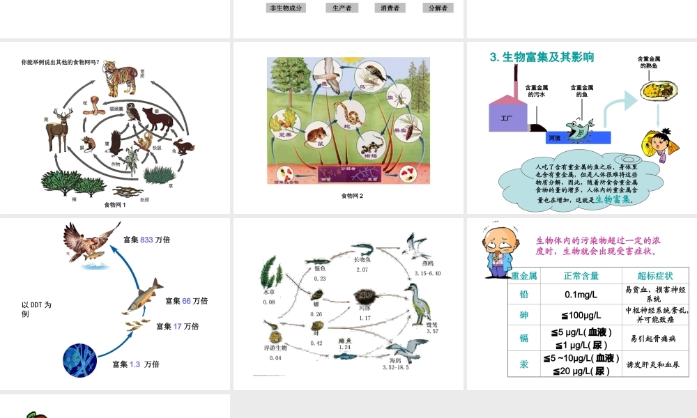 八年级生物上册 19.1 生态系统的组成课件（2）（新版）苏教版-（新版）苏教版初中八年级上册生物课件