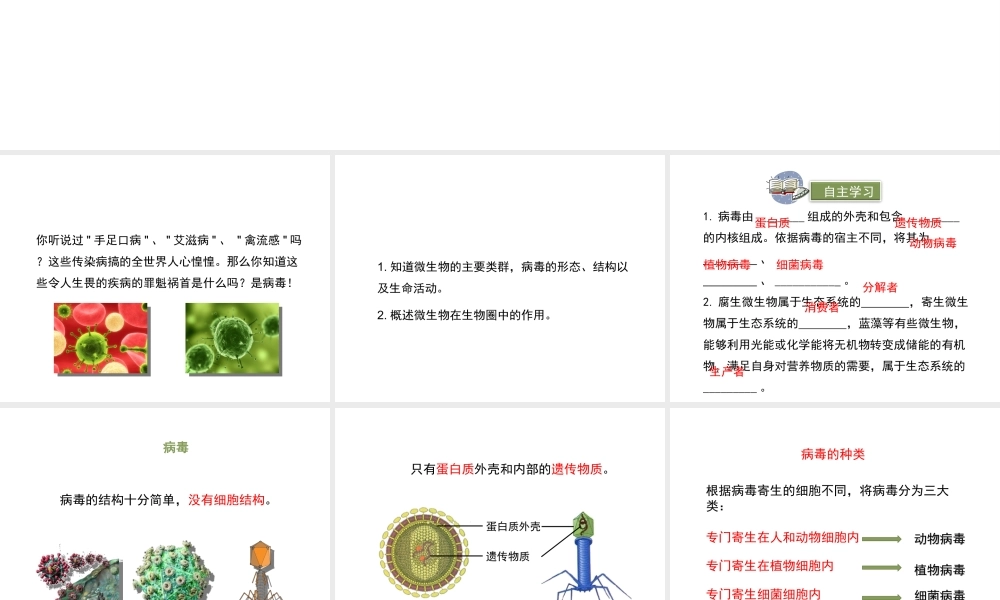 八年级生物上册 18.1 微生物在生物圈中的作用（第2课时）课件（2）（新版）北师大版-（新版）北师大级上册生物课件