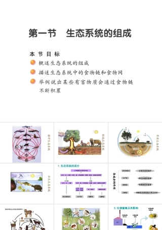 八年级生物上册 19.1 生态系统的组成课件（2）（新版）苏教版-（新版）苏教级上册生物课件