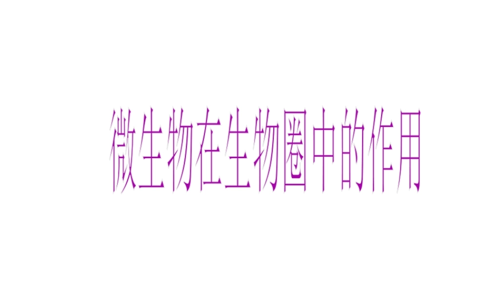 八年级生物上册 18.1 微生物在生物圈中的作用课件 北师大版