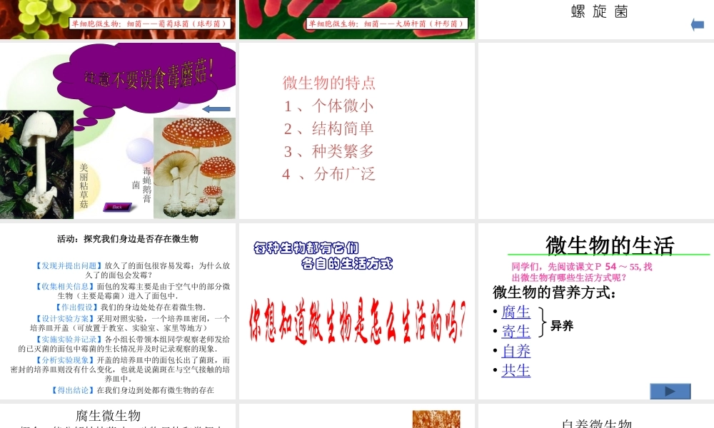 八年级生物上册 18.1 微生物在生物圈中的作用课件 北师大版