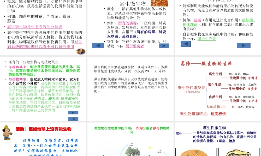 八年级生物上册 18.1 微生物在生物圈中的作用课件 北师大版