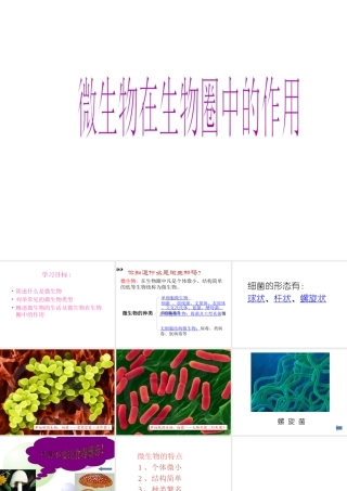 八年级生物上册 18.1 微生物在生物圈中的作用课件 北师大版