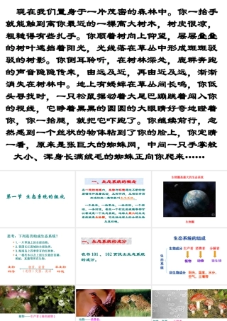 八年级生物上册 19.1 生物生态系统的组成课件 （新版）苏教版-（新版）苏教版初中八年级上册生物课件