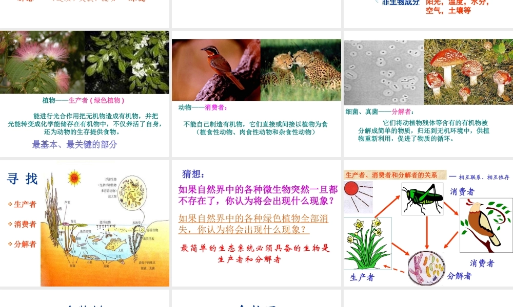 八年级生物上册 19.1 生物生态系统的组成课件 （新版）苏教版-（新版）苏教级上册生物课件