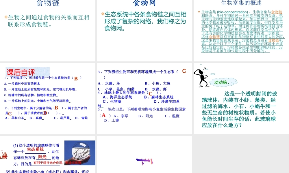八年级生物上册 19.1 生物生态系统的组成课件 （新版）苏教版-（新版）苏教级上册生物课件