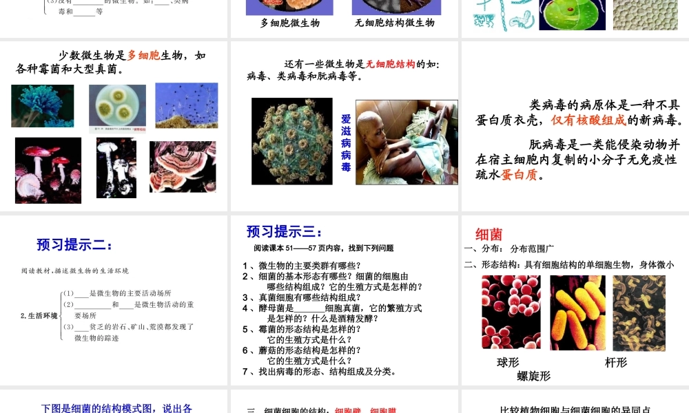八年级生物上册 18.1 微生物在生物圈中的作用课件 北师大版-北师大版初中八年级上册生物课件