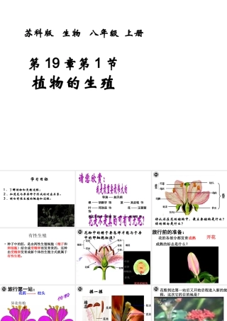 八年级生物上册 19.1 植物的生殖教学课件 苏科版-苏科版初中八年级上册生物课件