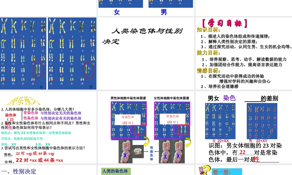 八年级生物上册 4.4.3 人类染色体与性别决定课件 （新版）济南版-（新版）济南版初中八年级上册生物课件