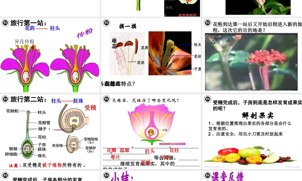 八年级生物上册 19.1 植物的生殖教学课件 苏科版-苏科级上册生物课件