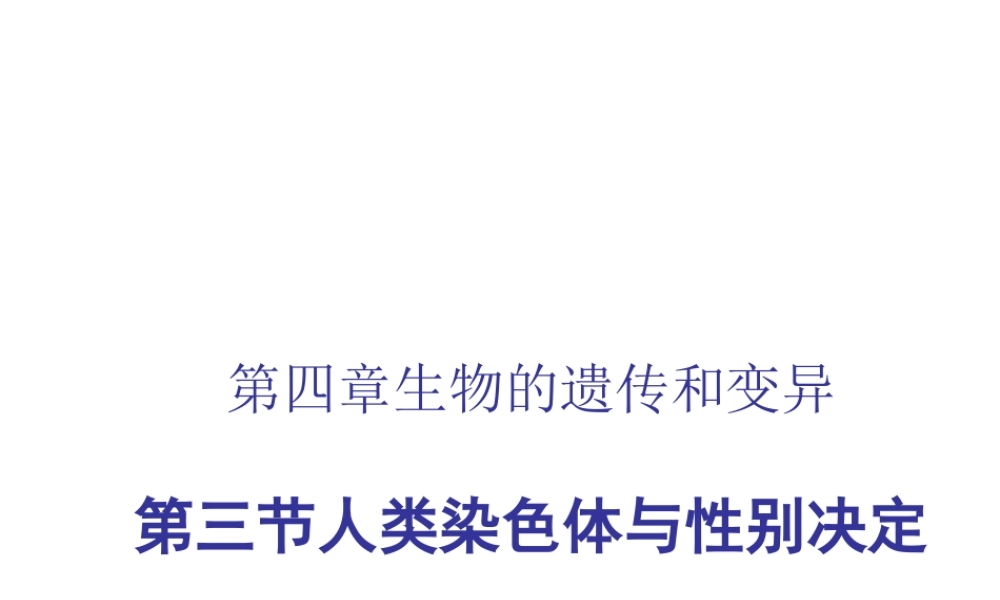 八年级生物上册 4.4.3 人类染色体与性别决定课件 （新版）济南版-（新版）济南级上册生物课件