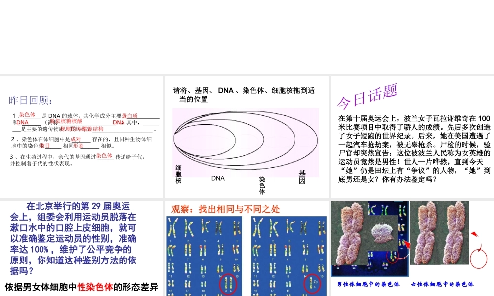 八年级生物上册 4.4.3 人类染色体与性别决定课件 （新版）济南版-（新版）济南级上册生物课件