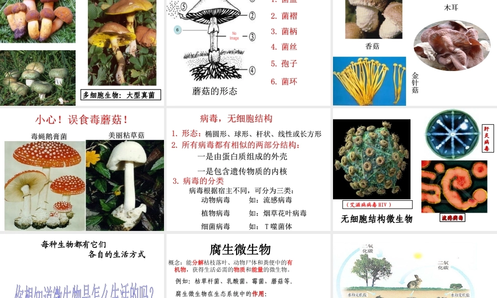 八年级生物上册 18.1《微生物在生物圈中的作用》课件1 （新版）北师大版-（新版）北师大版初中八年级上册生物课件