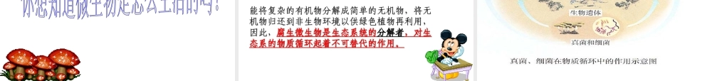 八年级生物上册 18.1《微生物在生物圈中的作用》课件1 （新版）北师大版-（新版）北师大版初中八年级上册生物课件