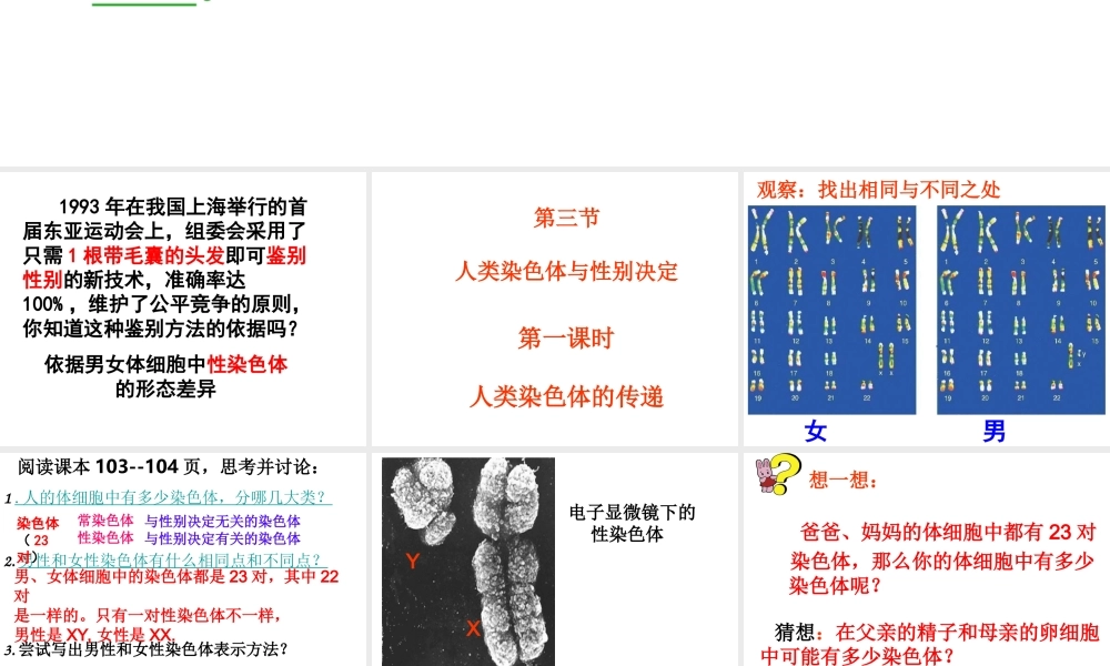 八年级生物上册 4.4.3 人类染色体与性别决定课件 （新版）济南版
