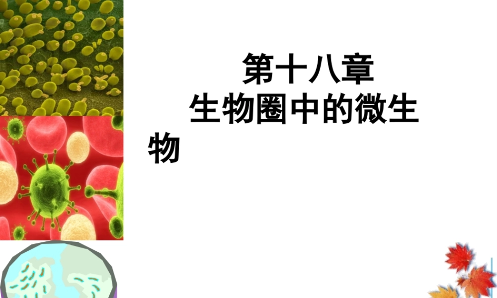 八年级生物上册 18.1《微生物在生物圈中的作用》课件1 （新版）北师大版-（新版）北师大级上册生物课件