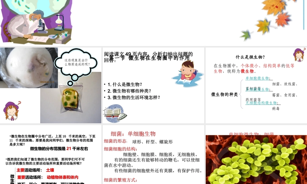 八年级生物上册 18.1《微生物在生物圈中的作用》课件1 （新版）北师大版-（新版）北师大级上册生物课件