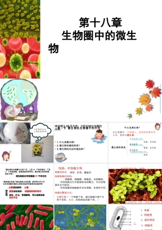 八年级生物上册 18.1《微生物在生物圈中的作用》课件1 （新版）北师大版-（新版）北师大级上册生物课件