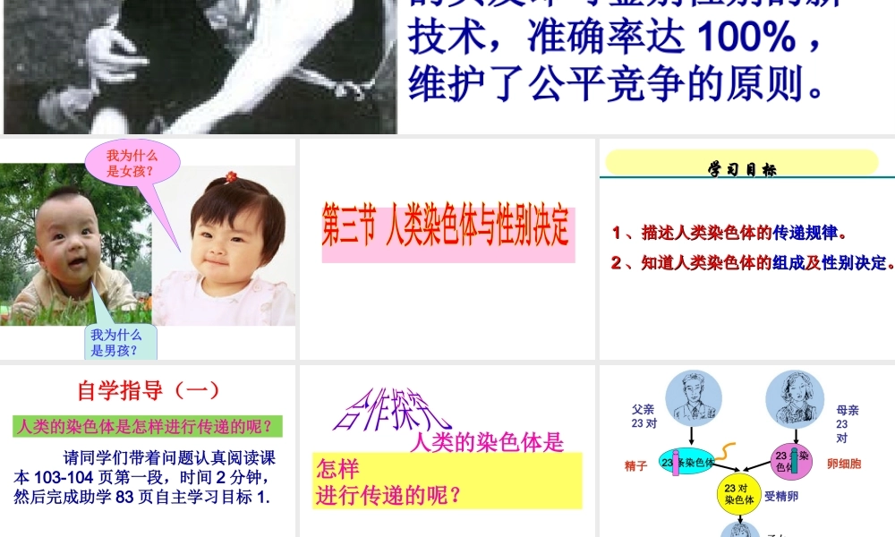 八年级生物上册 4.4.3《人类染色体与性别决定》课件 （新版）济南版-（新版）济南版初中八年级全册生物课件