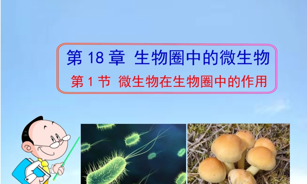 八年级生物上册 18.1《微生物在生物圈中的作用》课件3 （新版）北师大版-（新版）北师大版初中八年级上册生物课件