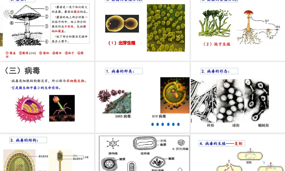 八年级生物上册 18.1《微生物在生物圈中的作用》课件3 （新版）北师大版-（新版）北师大版初中八年级上册生物课件