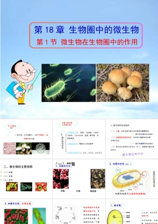 八年级生物上册 18.1《微生物在生物圈中的作用》课件3 （新版）北师大版-（新版）北师大版初中八年级上册生物课件