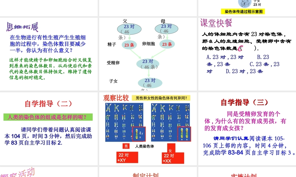 八年级生物上册 4.4.3《人类染色体与性别决定》课件 （新版）济南版-（新版）济南级全册生物课件