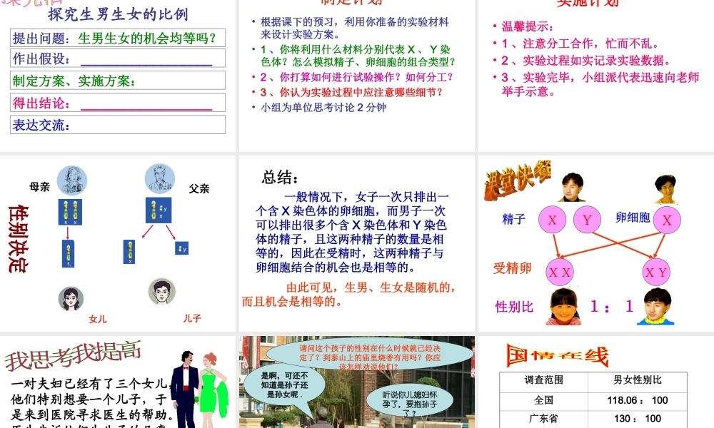 八年级生物上册 4.4.3《人类染色体与性别决定》课件 （新版）济南版-（新版）济南级全册生物课件