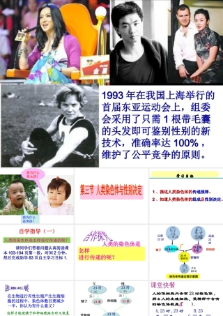 八年级生物上册 4.4.3《人类染色体与性别决定》课件 （新版）济南版-（新版）济南级全册生物课件