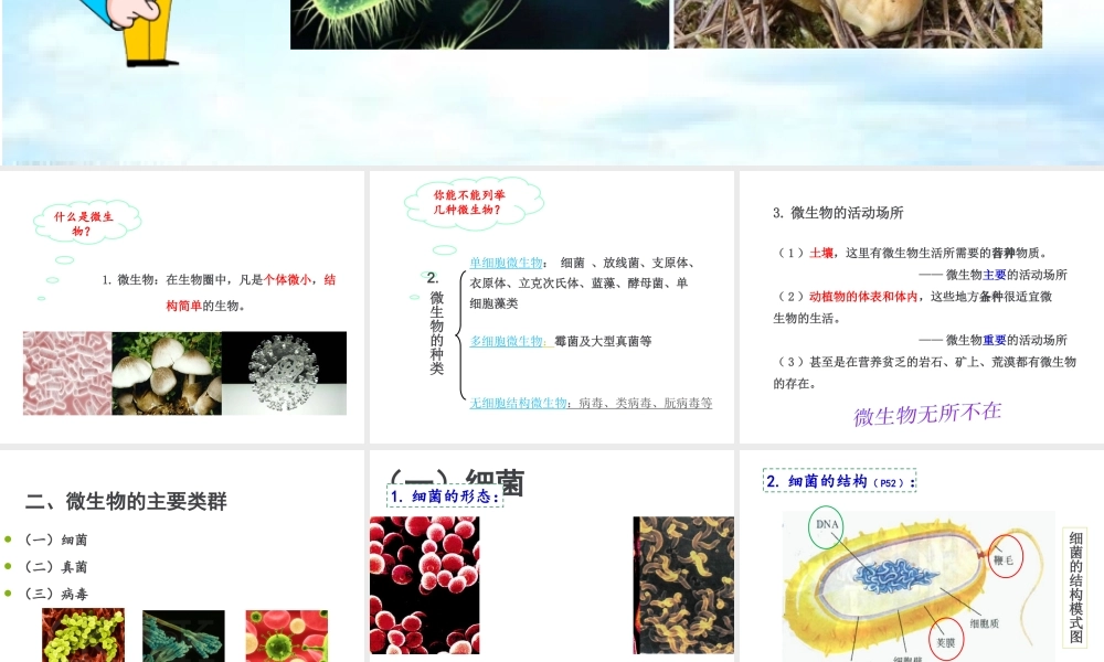 八年级生物上册 18.1《微生物在生物圈中的作用》课件3 （新版）北师大版-（新版）北师大级上册生物课件
