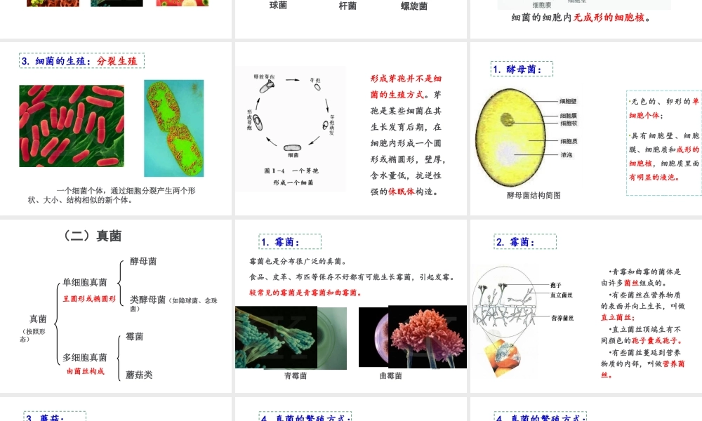 八年级生物上册 18.1《微生物在生物圈中的作用》课件3 （新版）北师大版-（新版）北师大级上册生物课件