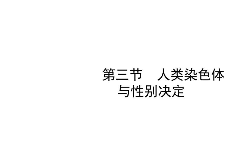 八年级生物上册 4.4.3《人类染色体与性别决定》课件1 （新版）济南版-（新版）济南版初中八年级上册生物课件