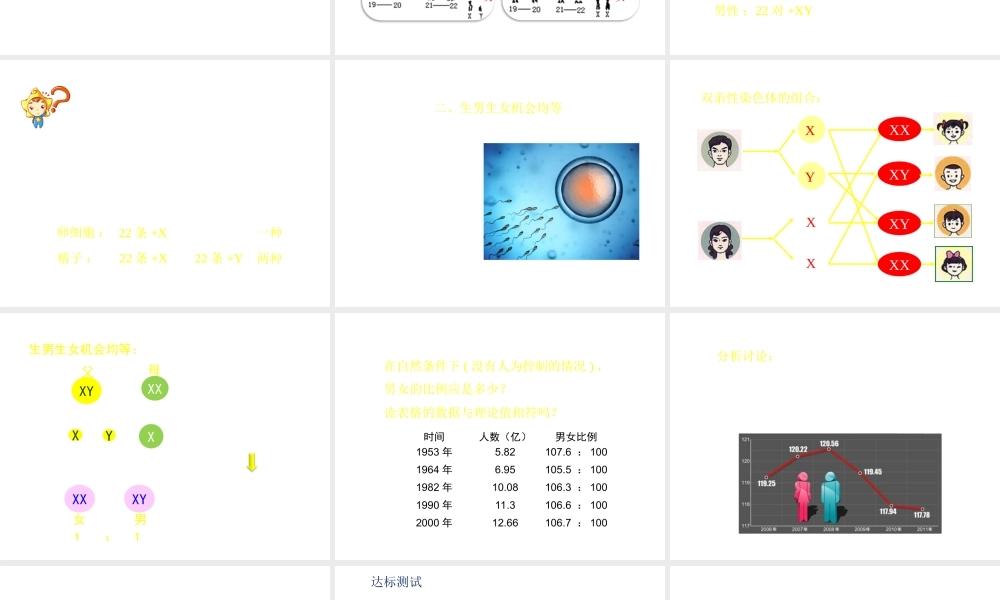 八年级生物上册 4.4.3《人类染色体与性别决定》课件1 （新版）济南版-（新版）济南版初中八年级上册生物课件