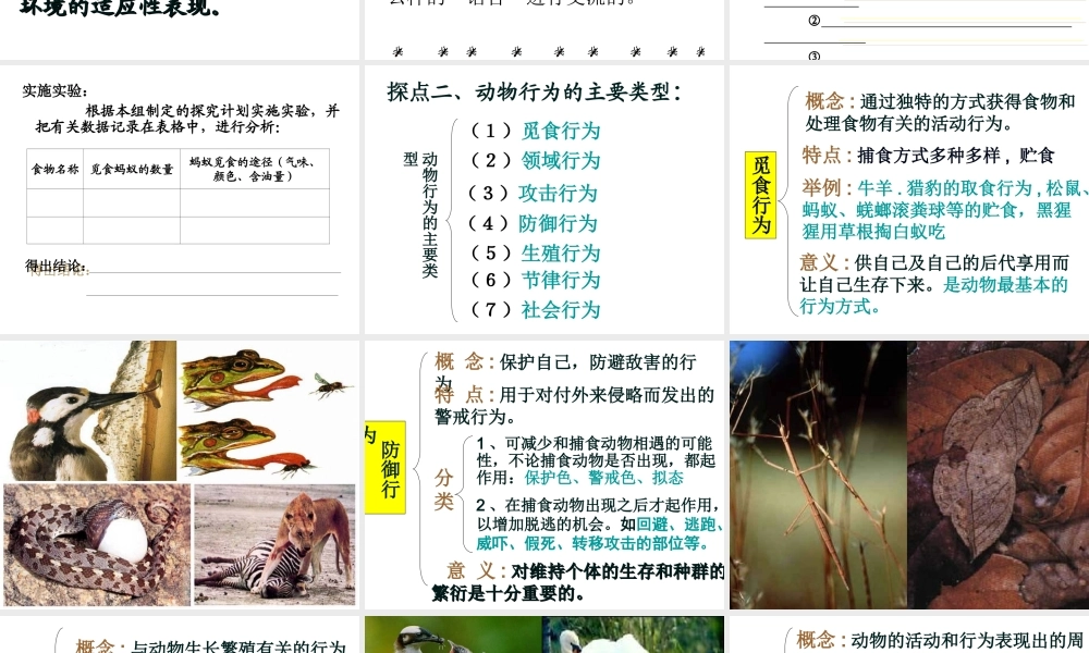 八年级生物上册 18.1动物行为的主要类型课件 （新版）苏教版-（新版）苏教级上册生物课件