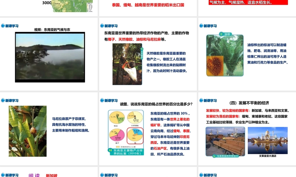 八年级地理下册 第六章 第一节 东南亚（第2课时）课件 中图版