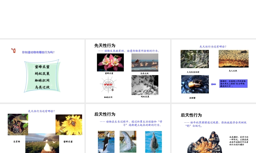 八年级生物上册 18.2 动物行为的生理基础课件 （新版）苏教版-（新版）苏教版初中八年级上册生物课件