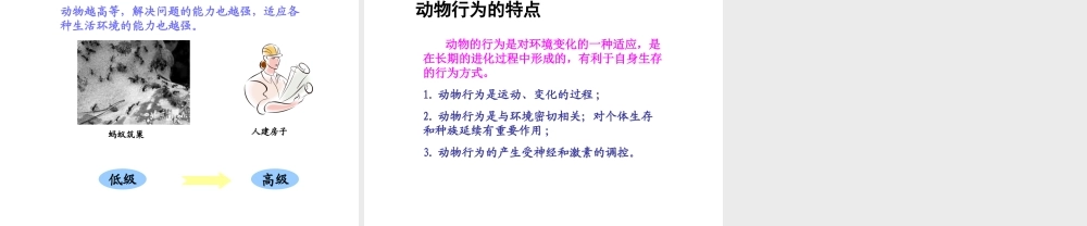 八年级生物上册 18.2 动物行为的生理基础课件 （新版）苏教版-（新版）苏教版初中八年级上册生物课件