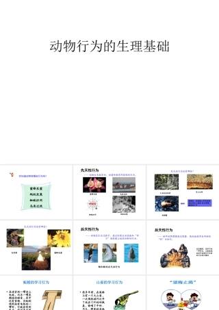 八年级生物上册 18.2 动物行为的生理基础课件 （新版）苏教版-（新版）苏教版初中八年级上册生物课件