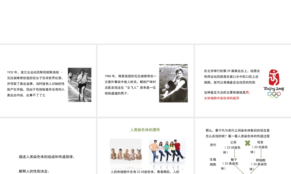 八年级生物上册 4.4.3《人类染色体与性别决定》课件2 （新版）济南版-（新版）济南版初中八年级上册生物课件