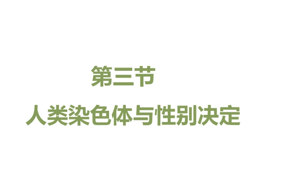 八年级生物上册 4.4.3《人类染色体与性别决定》课件2 （新版）济南版-（新版）济南级上册生物课件