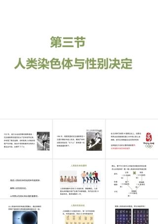 八年级生物上册 4.4.3《人类染色体与性别决定》课件2 （新版）济南版-（新版）济南级上册生物课件