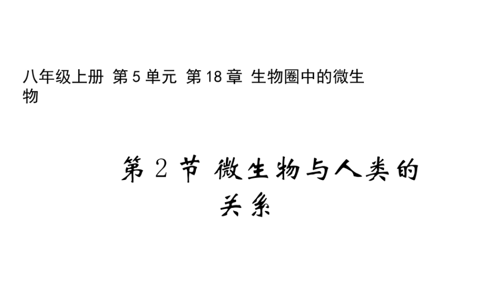 八年级生物上册 18.2 微生物与人类的关系课件 北师大版
