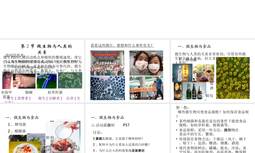 八年级生物上册 18.2 微生物与人类的关系课件 北师大版