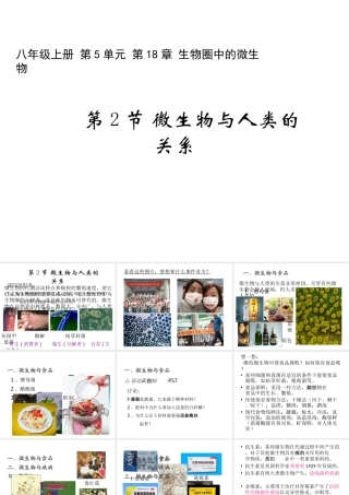八年级生物上册 18.2 微生物与人类的关系课件 北师大版