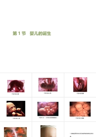 八年级生物上册 19.1《人的生殖和发育》课件1 （新版）北师大版-（新版）北师大版初中八年级上册生物课件
