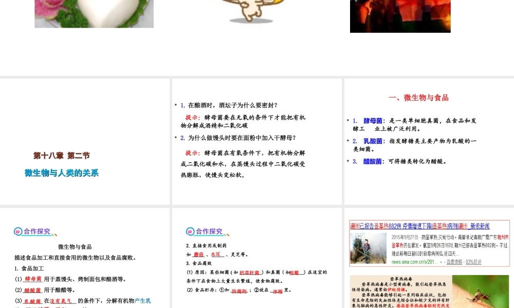 八年级生物上册 18.2《微生物与人类的关系》课件2 （新版）北师大版-（新版）北师大版初中八年级上册生物课件