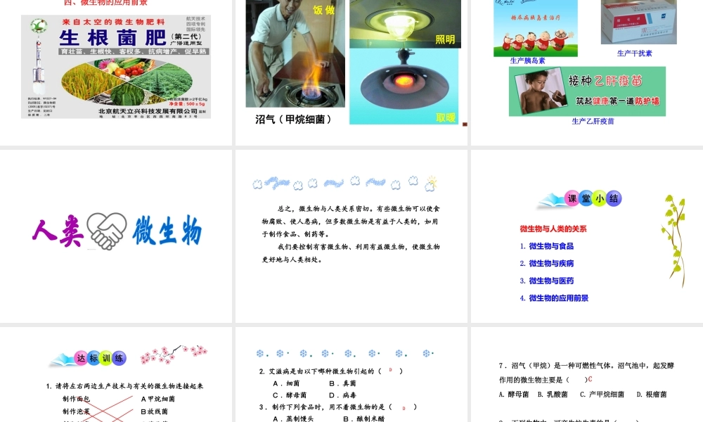 八年级生物上册 18.2《微生物与人类的关系》课件2 （新版）北师大版-（新版）北师大版初中八年级上册生物课件