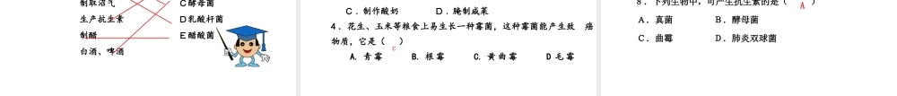 八年级生物上册 18.2《微生物与人类的关系》课件2 （新版）北师大版-（新版）北师大版初中八年级上册生物课件