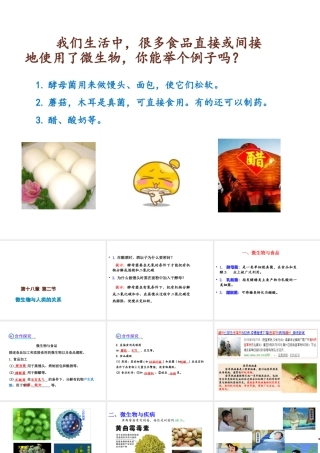 八年级生物上册 18.2《微生物与人类的关系》课件2 （新版）北师大版-（新版）北师大版初中八年级上册生物课件